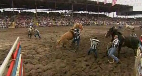 angola rodeo, louisiana state penitentiary, louisiana, rodeo, prison rodeo