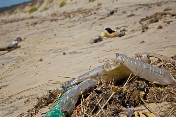 Rubbish On Beach