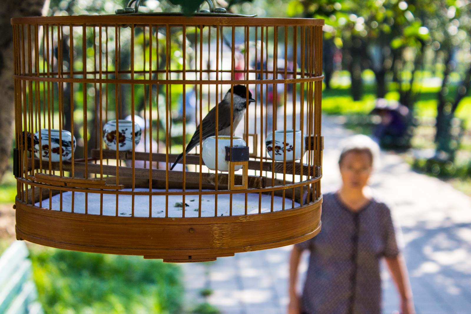 Temple of Heaven, Beijing park with old people exercising