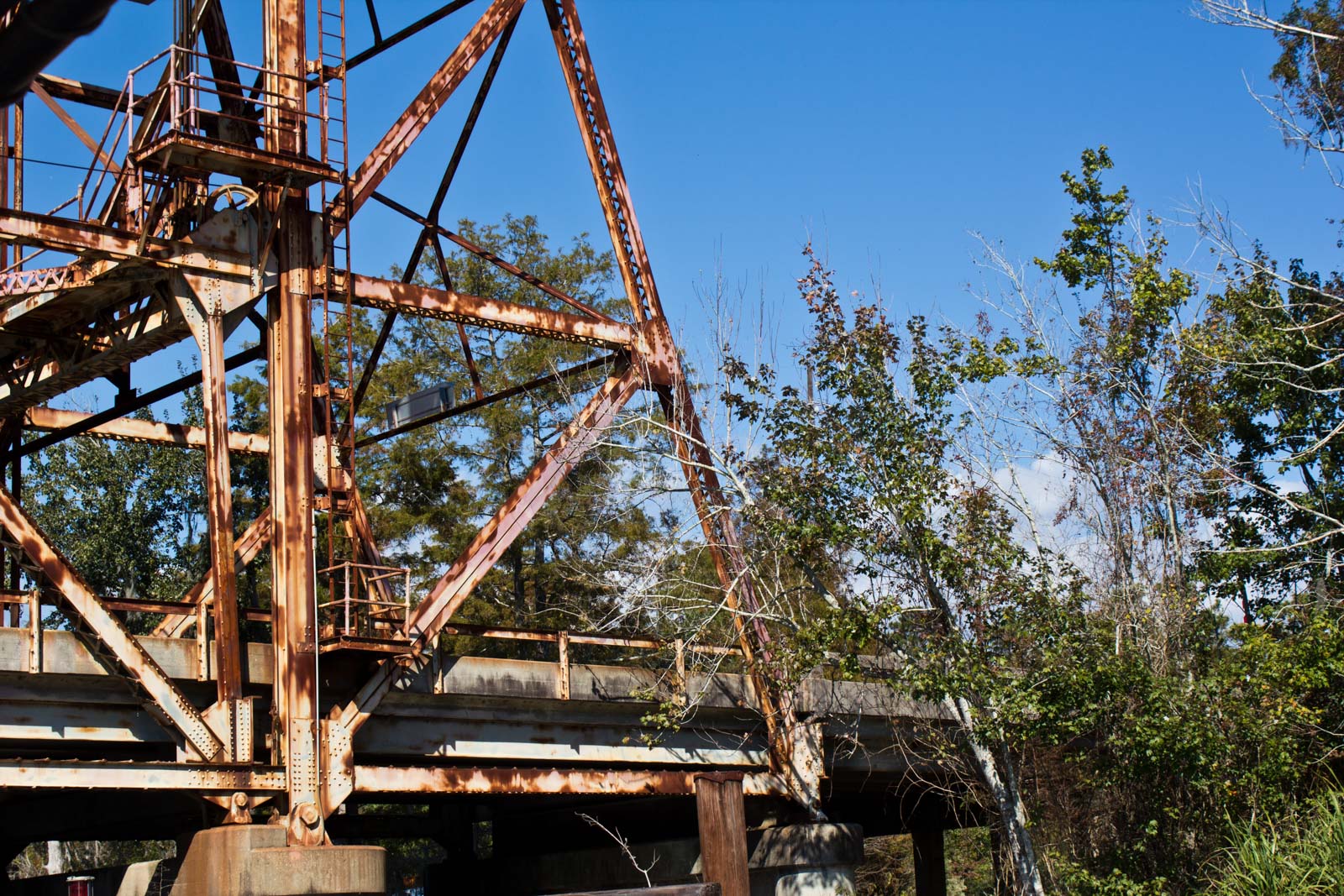 New Orleans Swamp Tour, Louisiana, USA