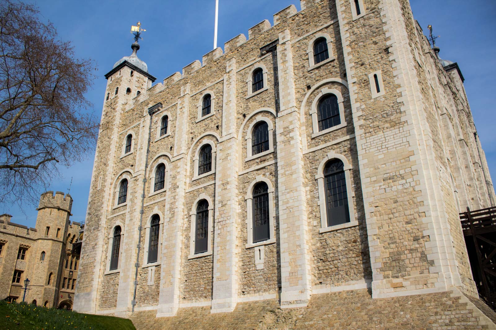 Ravens at the Tower of London, England