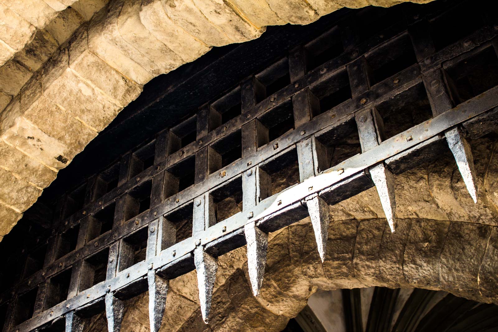 Ravens at the Tower of London, England
