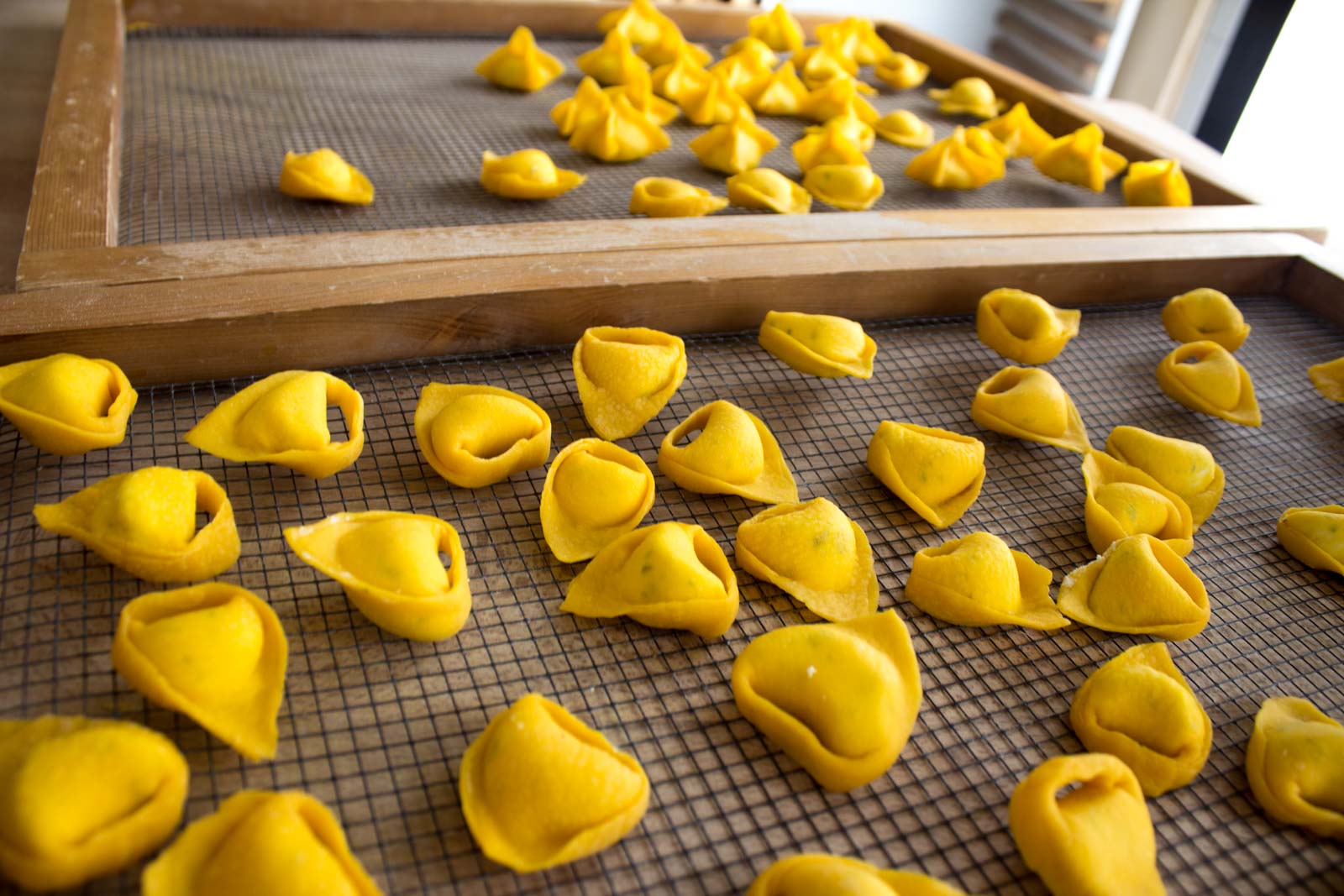 how to make pasta, fresh pasta recipe, pasta school italy, bologna