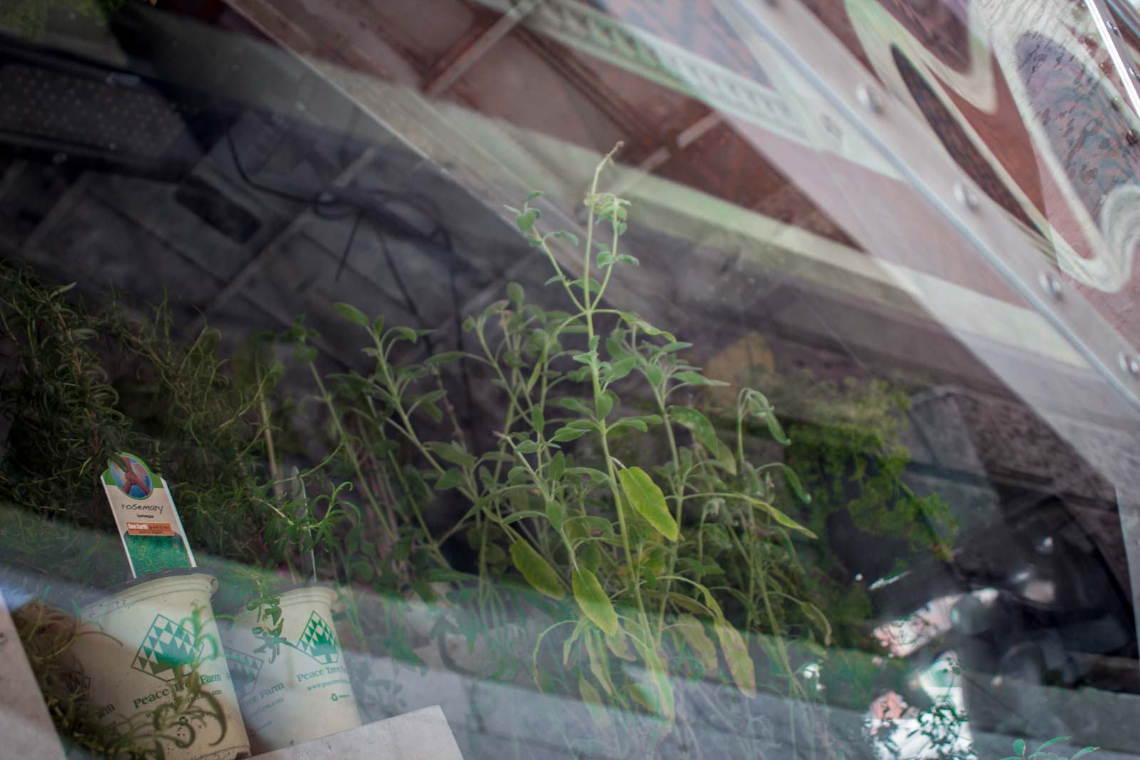 Philadelphia plane street art, USA