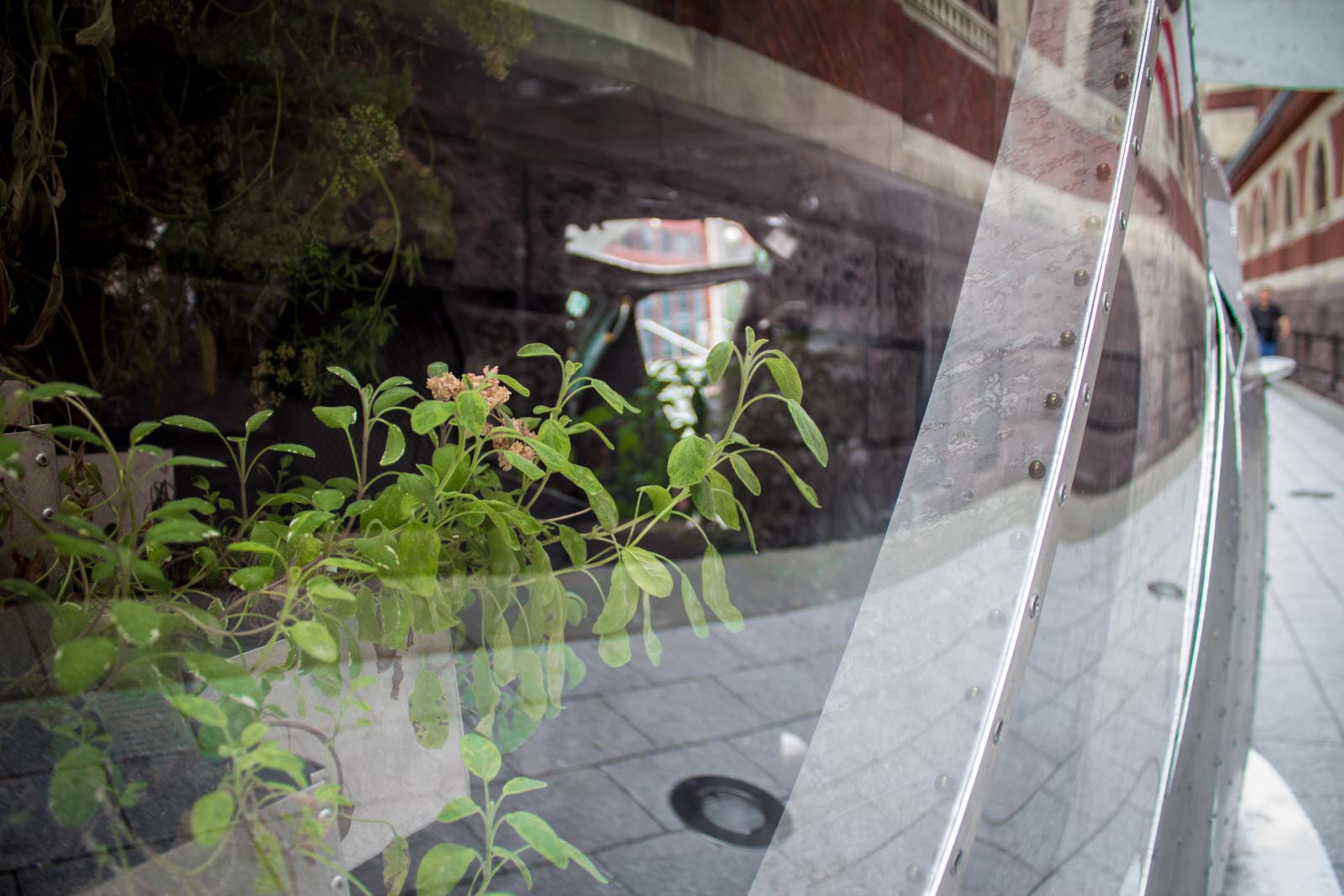 Philadelphia plane street art, USA