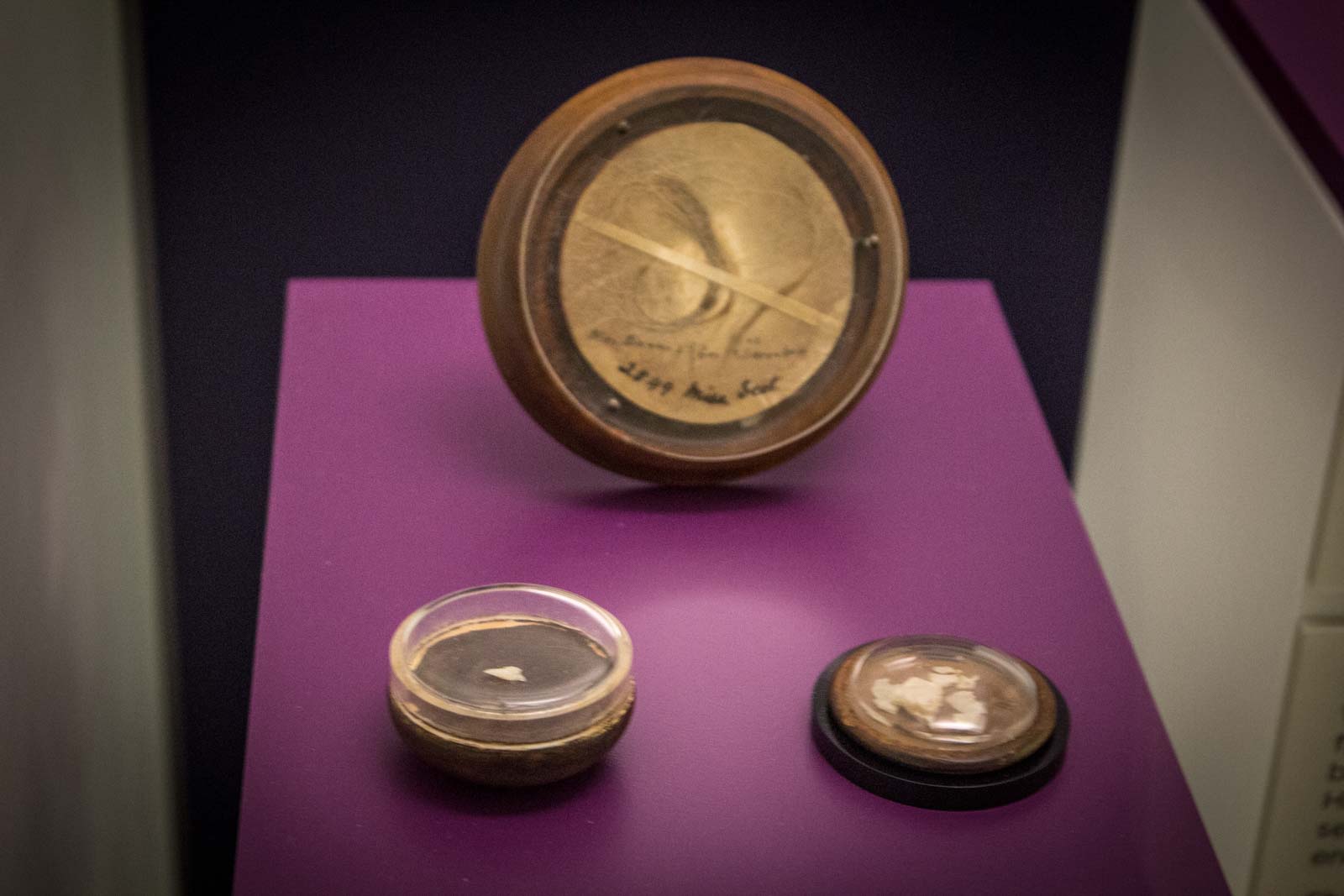 National Museum of Health and Medicine, Silver Springs, Maryland, USA