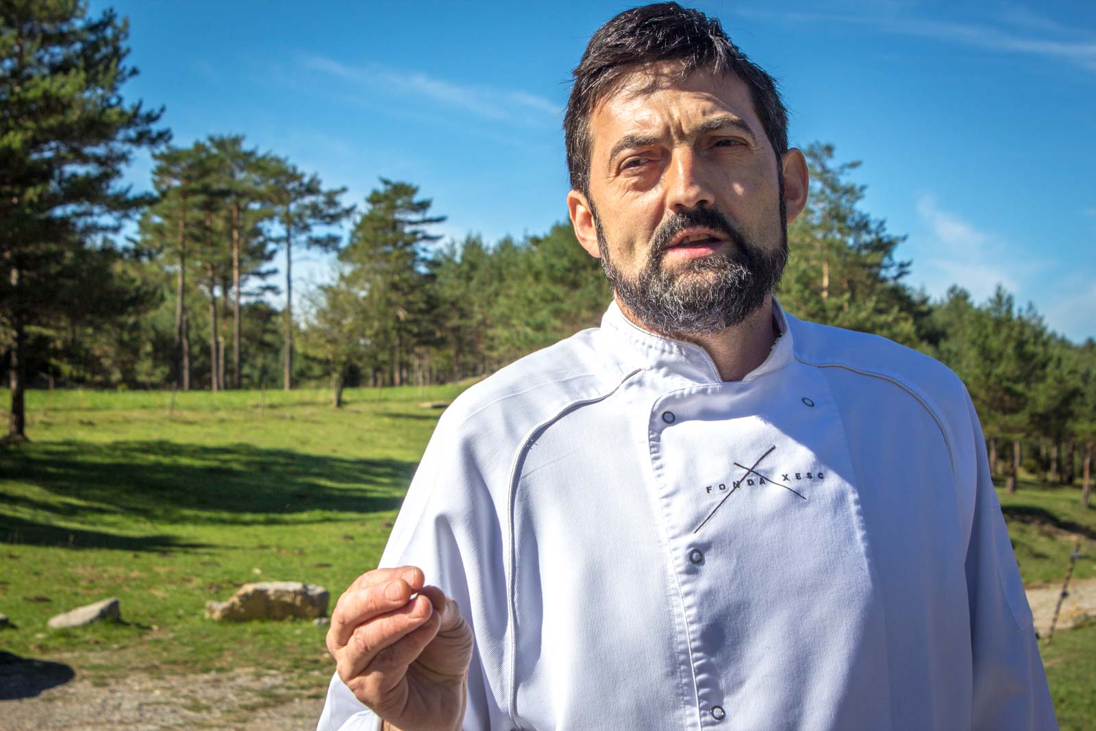 mushroom hunting in the pyrenees in Spain