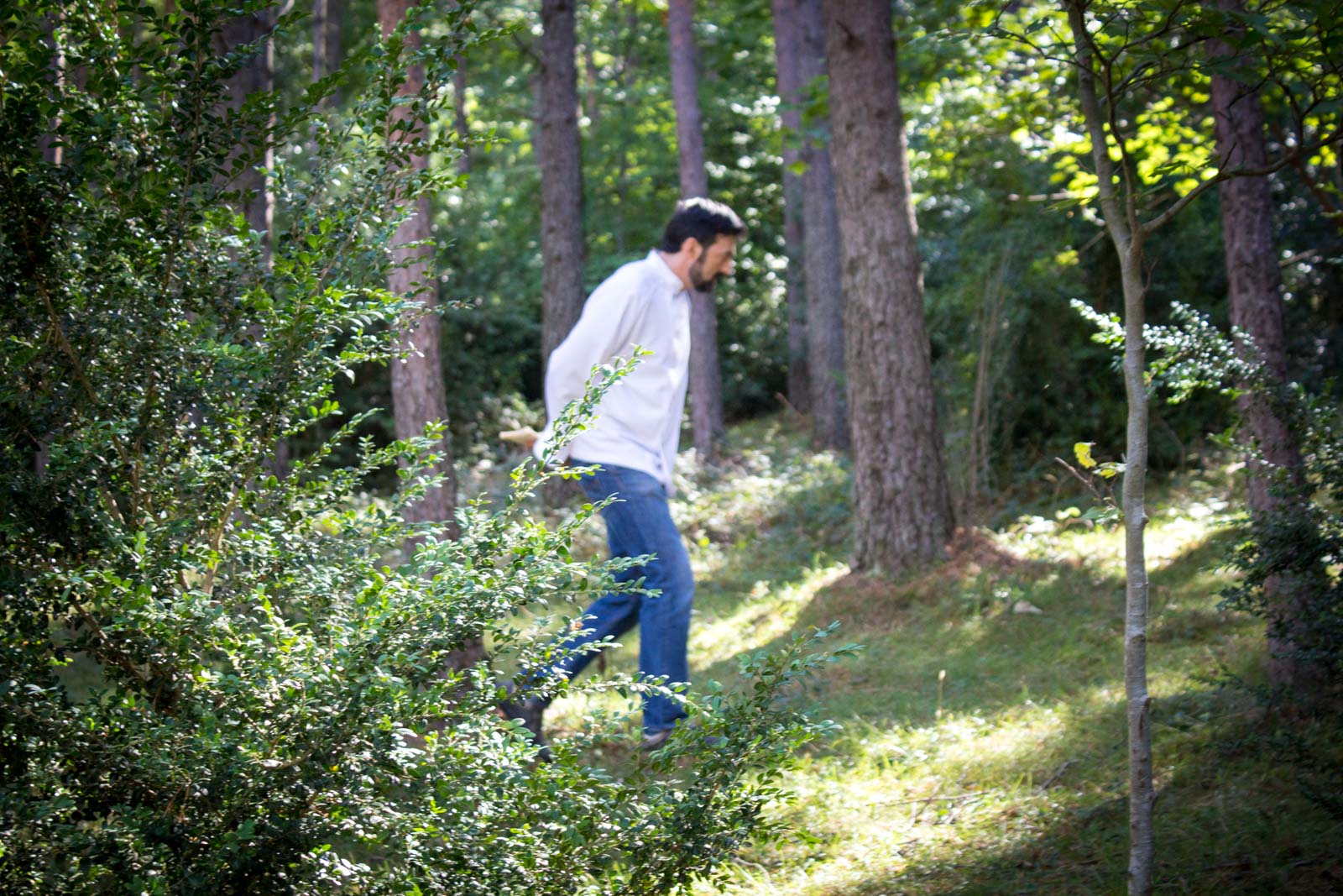 mushroom hunting in the pyrenees in Spain