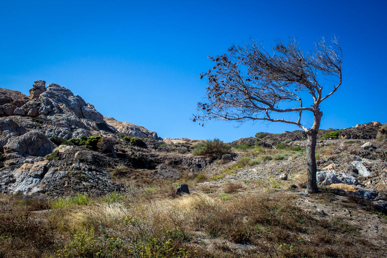 cap de creus, natural park, catalonia, spain, salvador dali inspiration