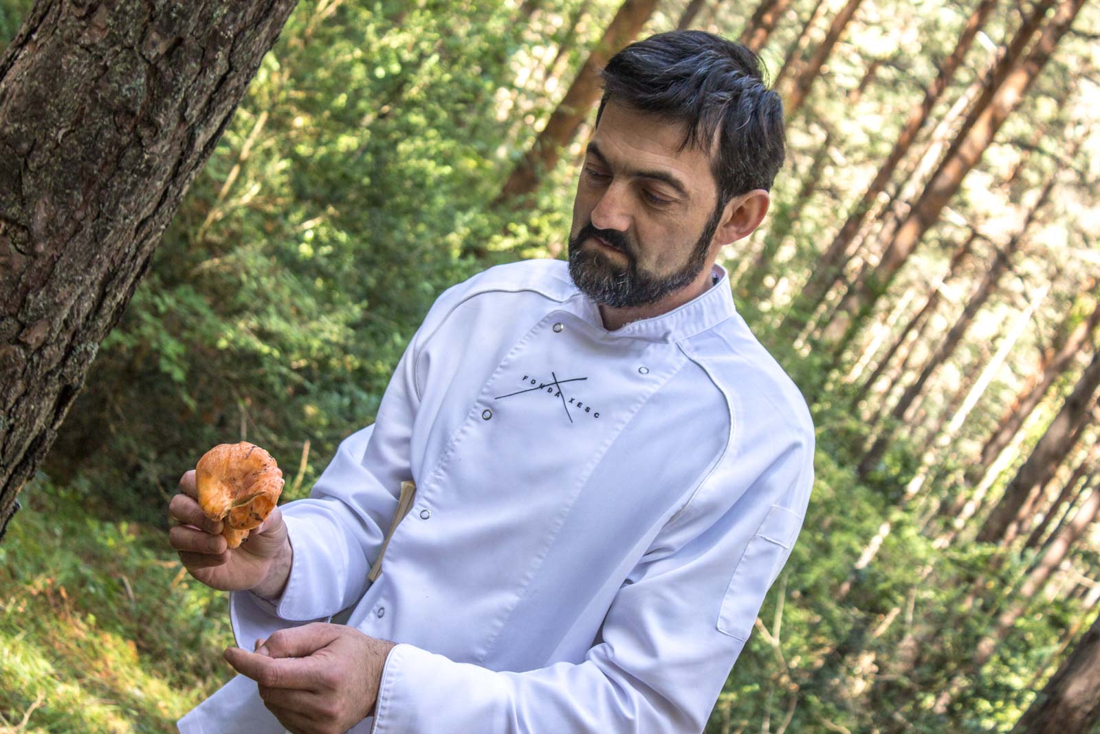 mushroom hunting in the pyrenees in Spain