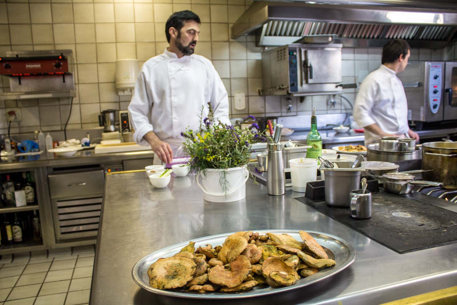 mushroom hunting in the pyrenees in Spain