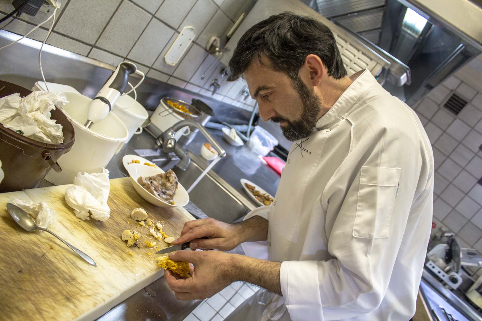 mushroom hunting in the pyrenees in Spain
