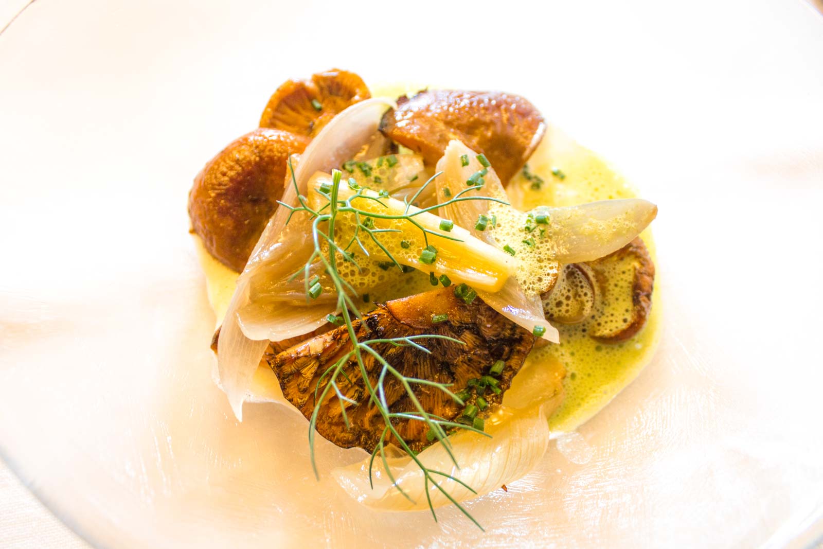 mushroom hunting in the pyrenees in Spain