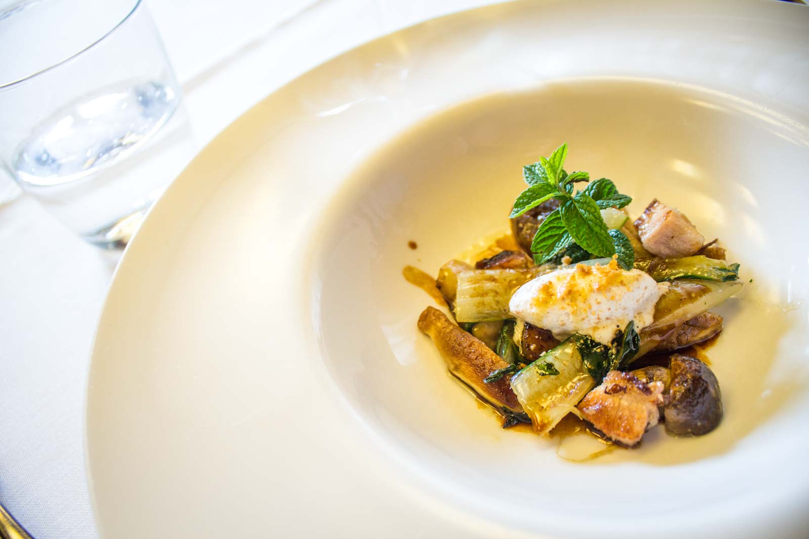 mushroom hunting in the pyrenees in Spain