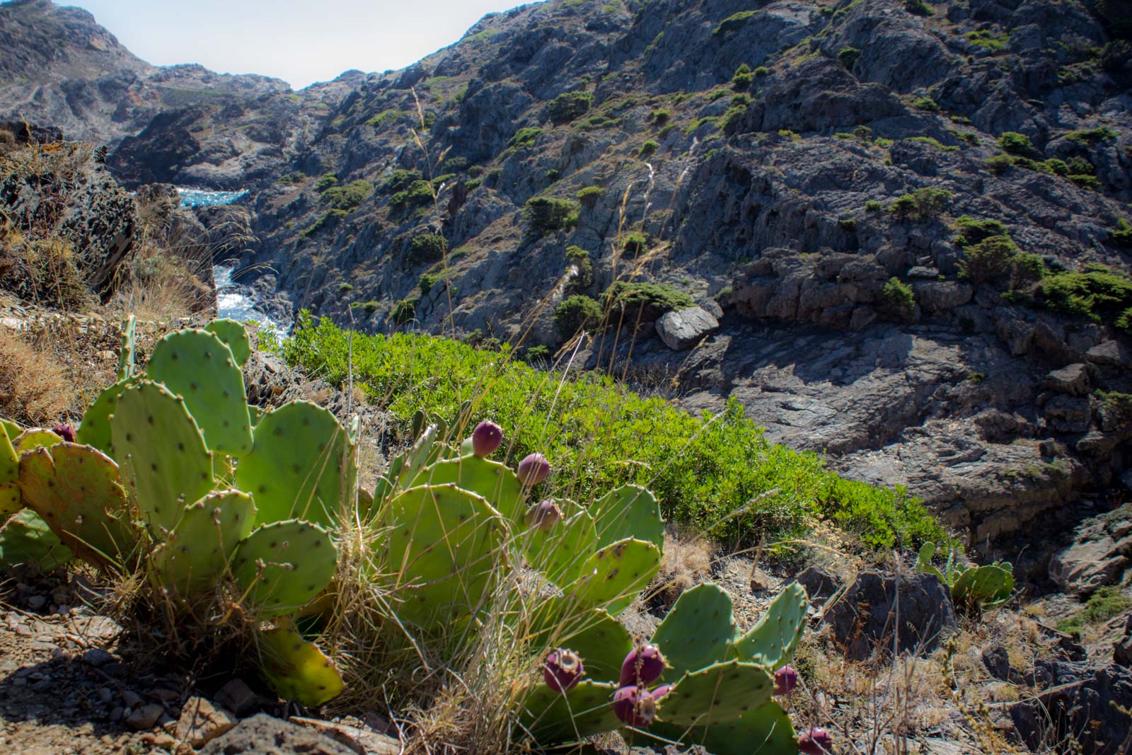 cap de creus, natural park, catalonia, spain, salvador dali inspiration