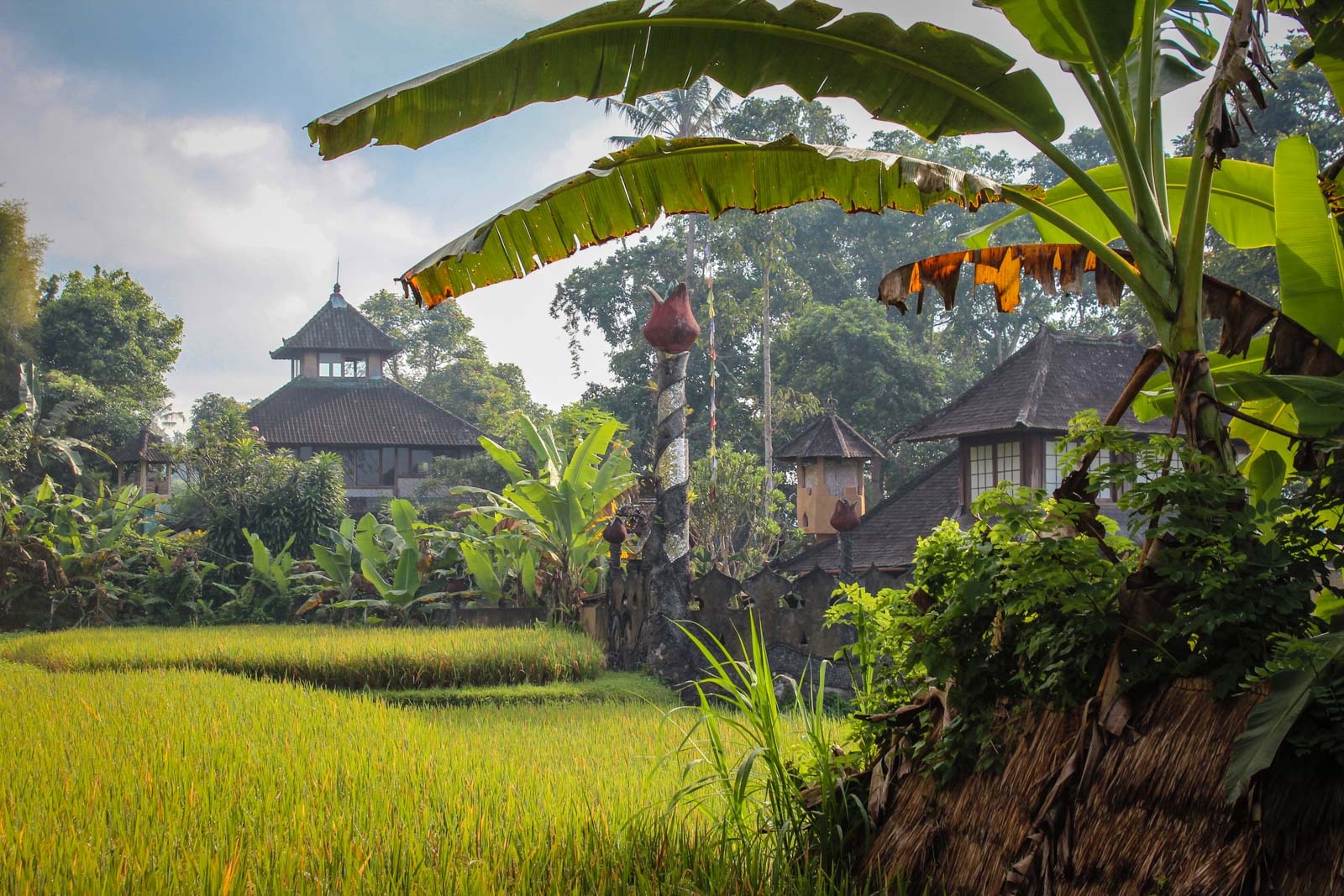 bali, indonesia, good, evil, development, commerical, traffic, spirituality
