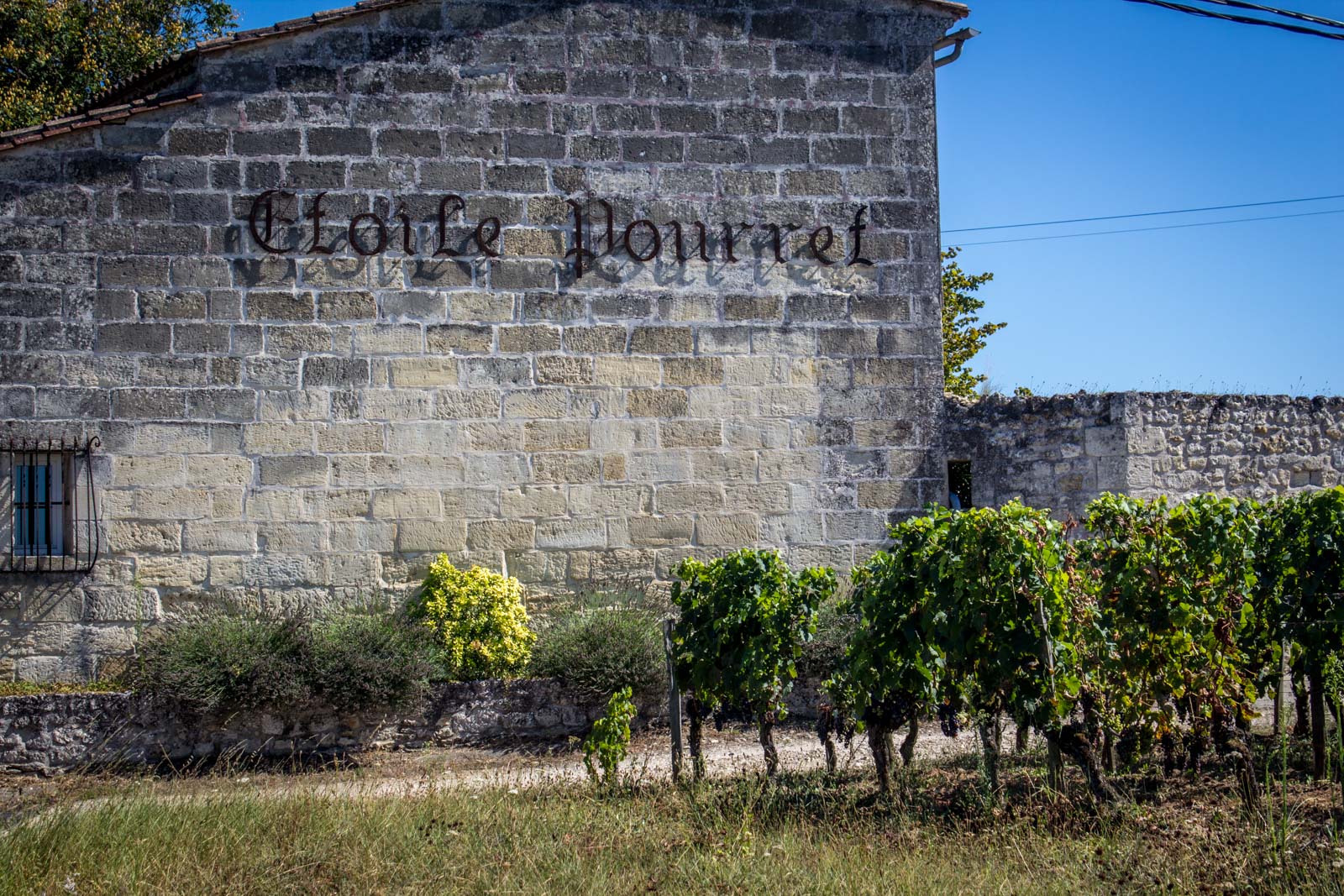 Vineyards of Saint-Emilion, France