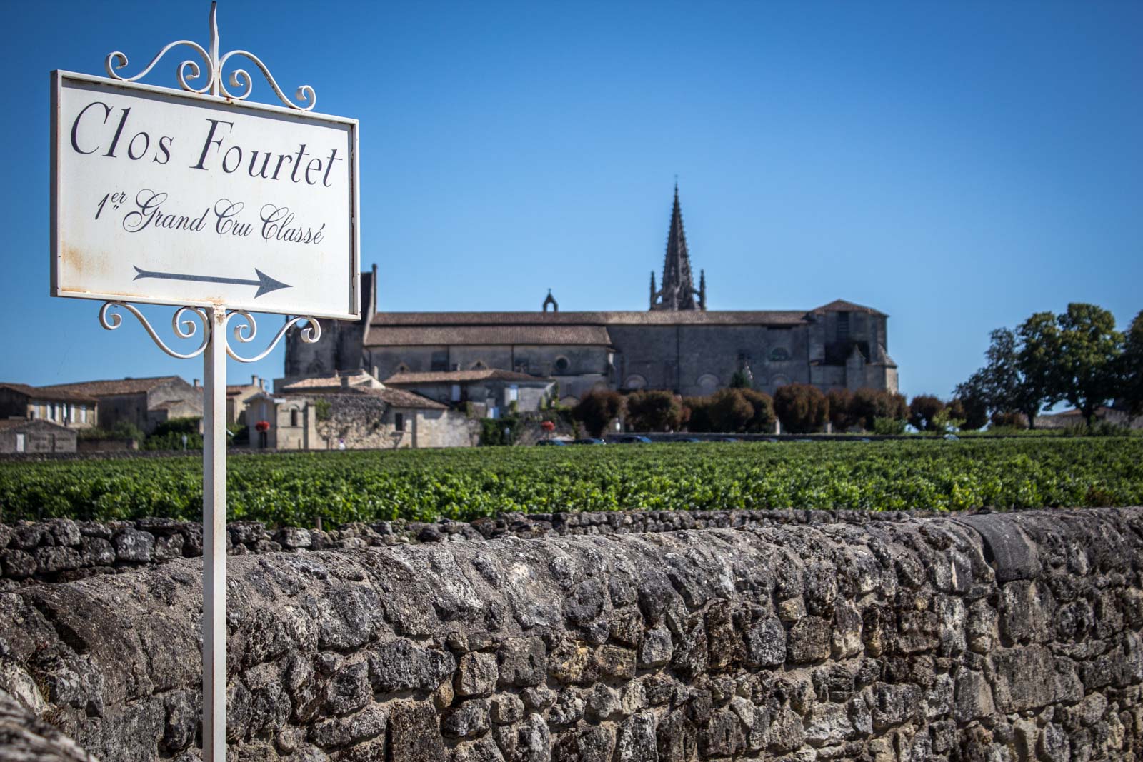 Vineyards of Saint-Emilion, France