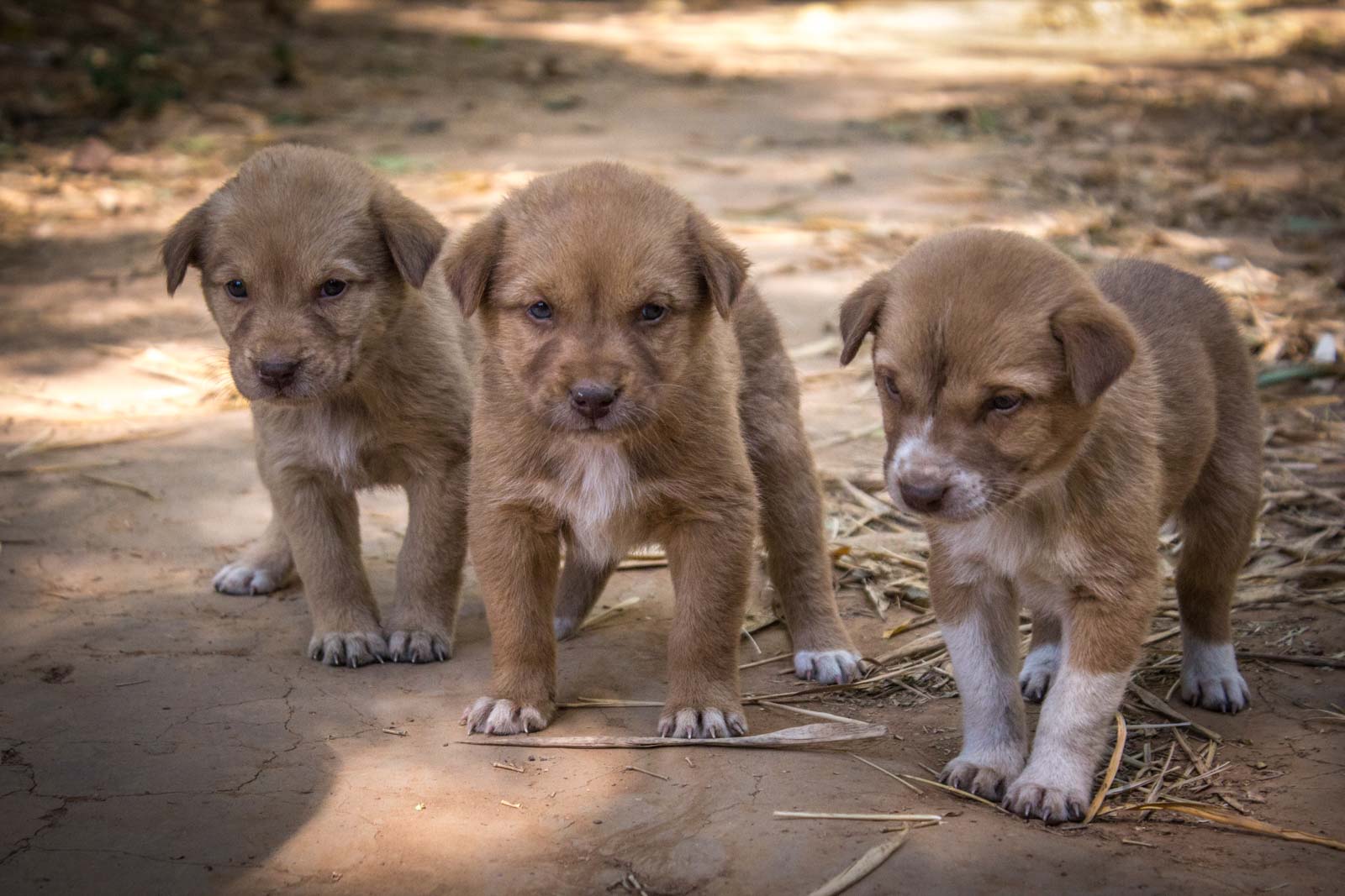 Photos of Myanmar, Burma