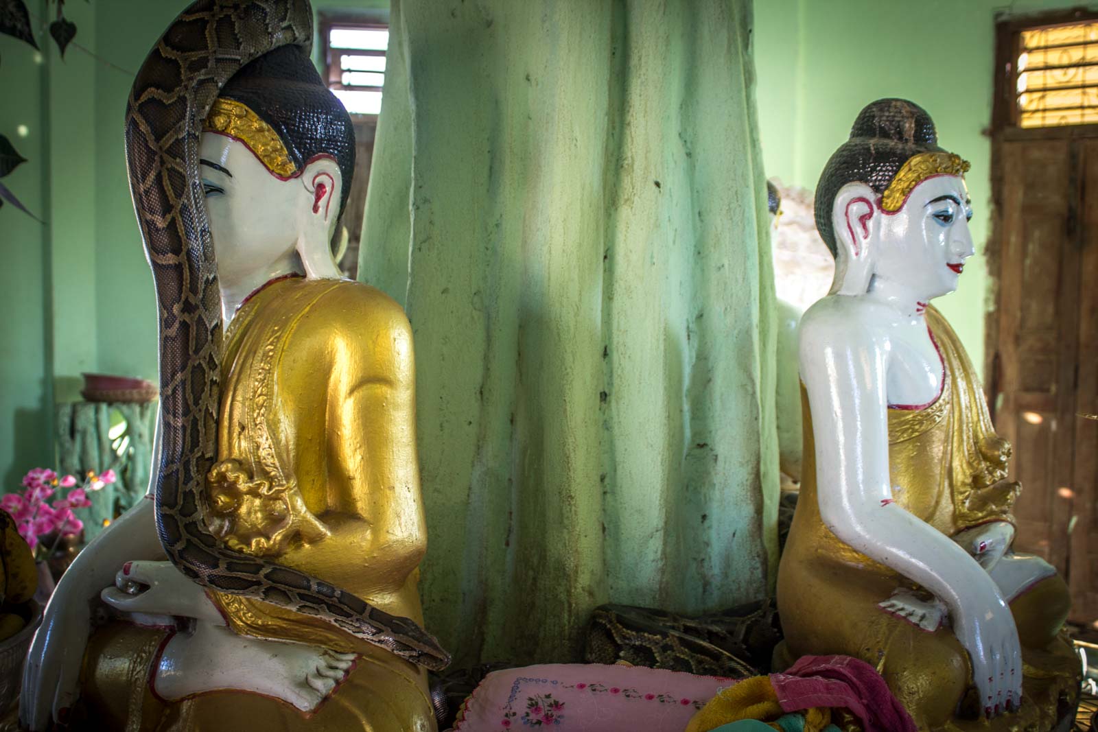 Getting to Twante from Yangon, Snake Temple, Myanmar