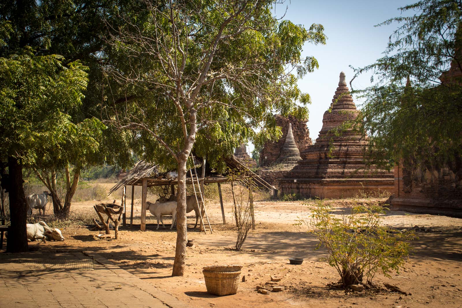 Temples of Bagan, Myanmar