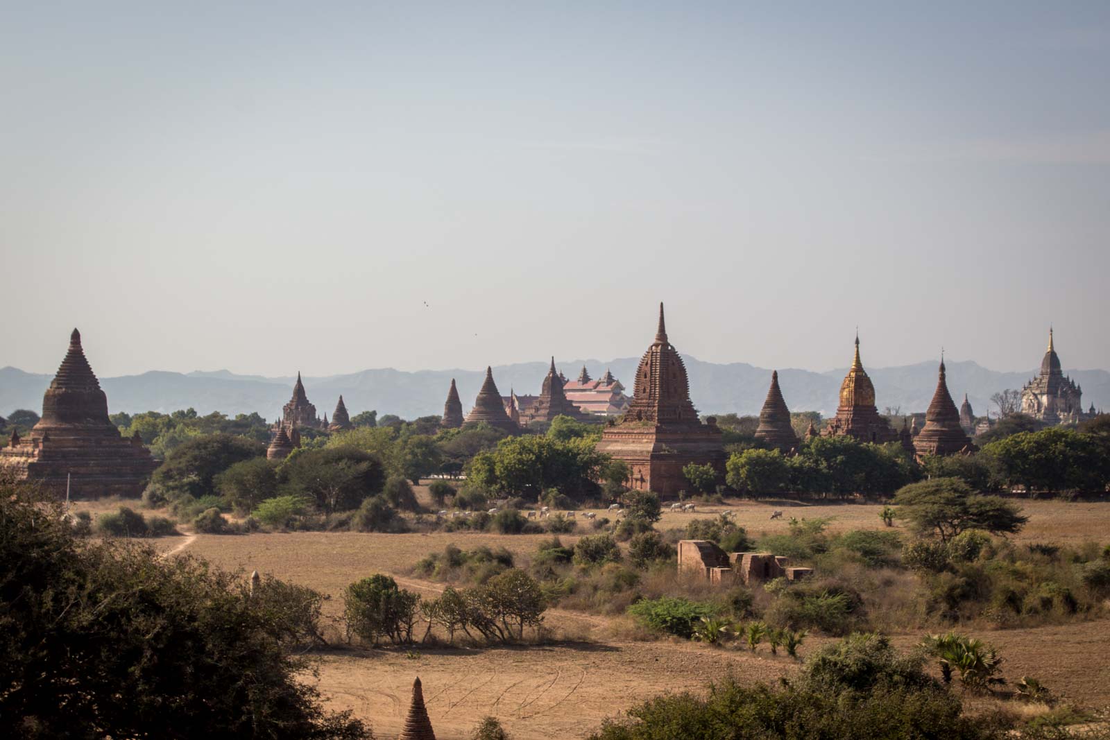 Temples of Bagan, Myanmar