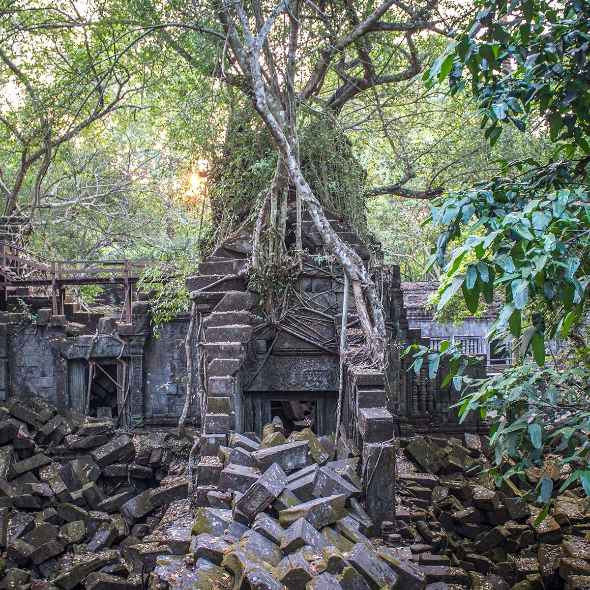 Beng Mealea jungle temple near Siem Reap, Cambodia