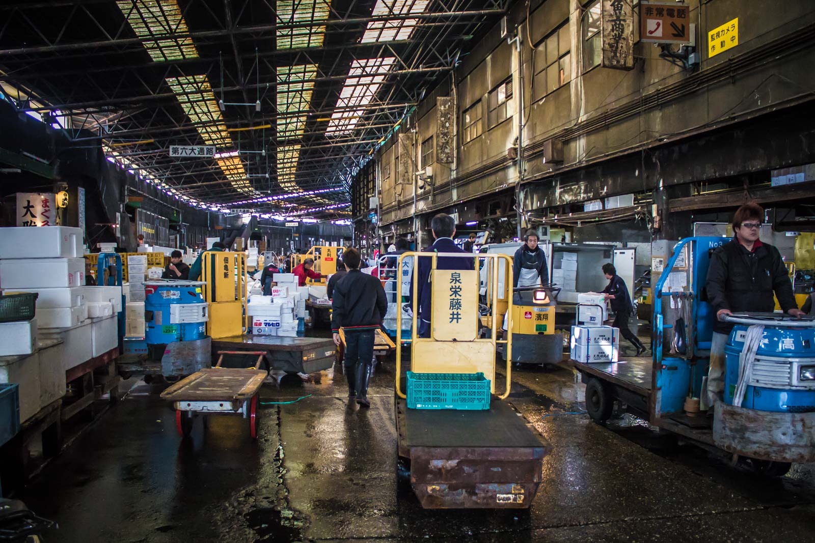 Tsukiji Fish Market, Tokyo, Japan