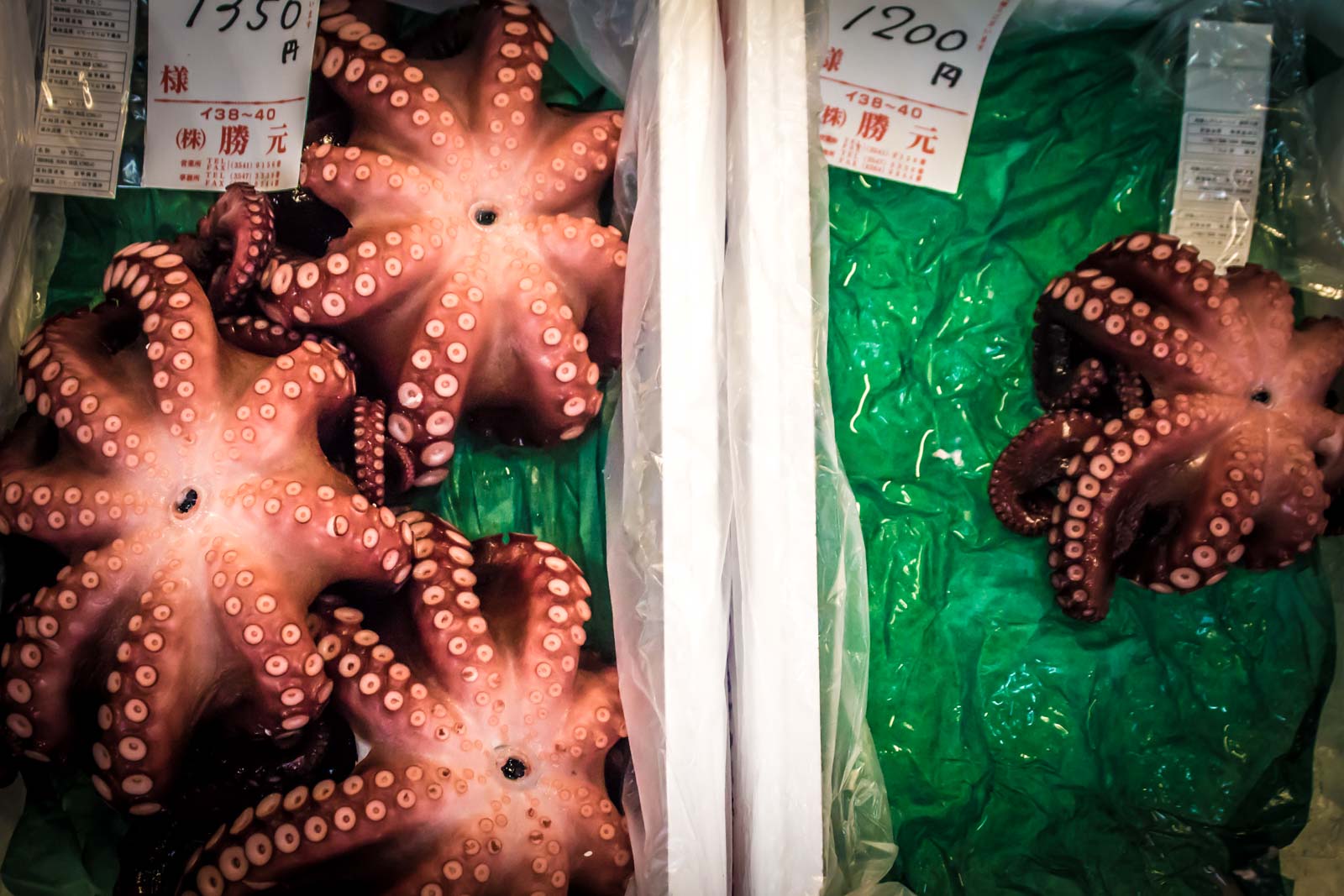Tsukiji Fish Market, Tokyo, Japan