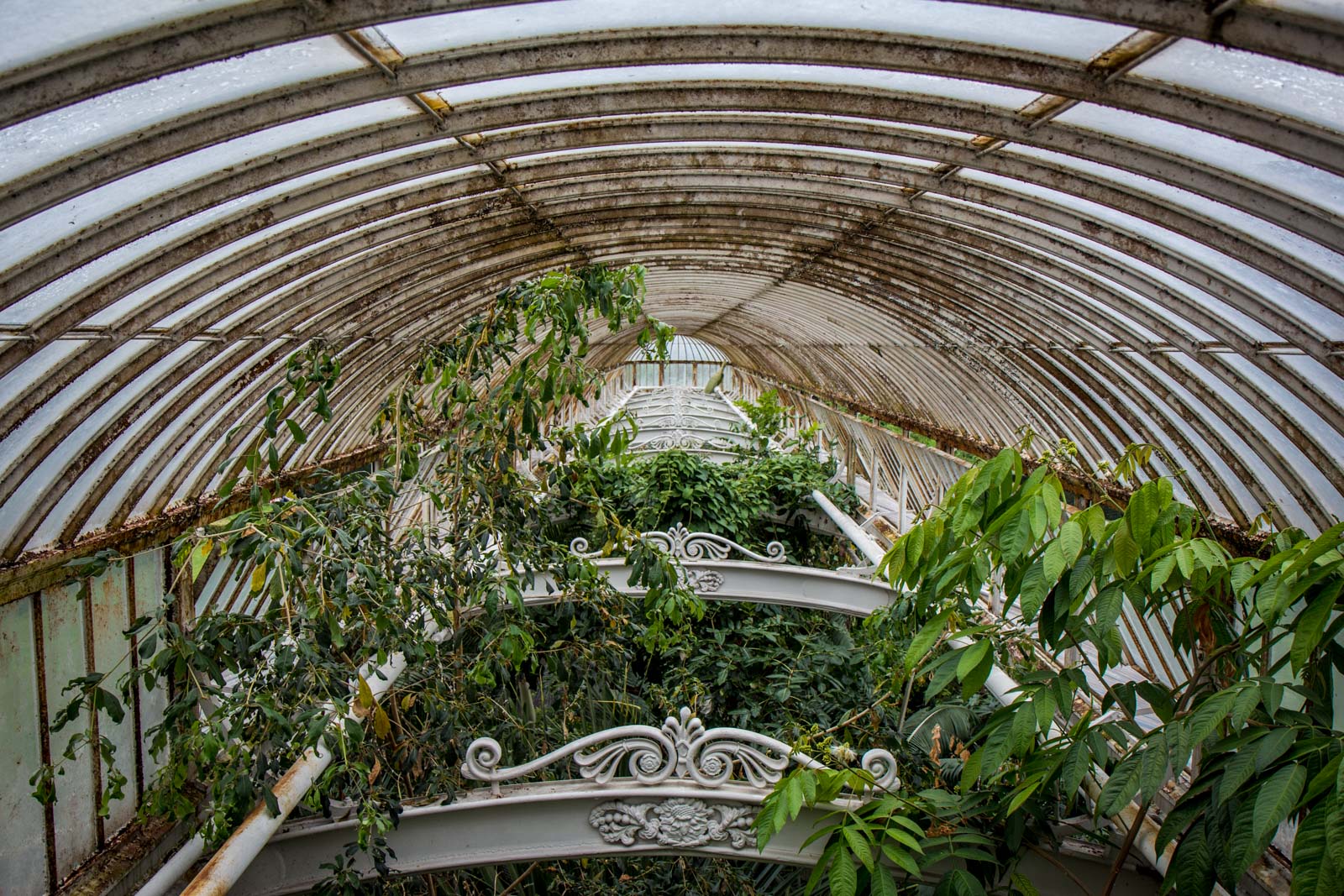 kew gardens, royal botanic gardens, london, england