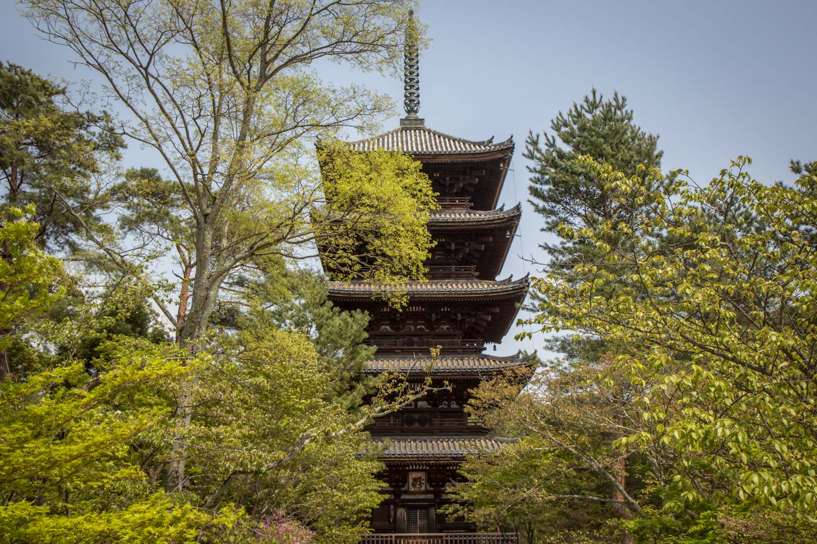 Best temples and shrines in Kyoto, Japan