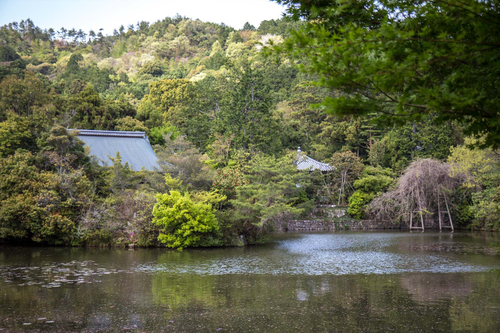 Best temples and shrines in Kyoto, Japan