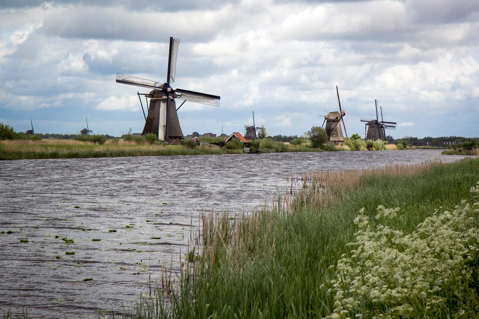 Kinderdijk, Windmills near Rotterdam, The Netherlands