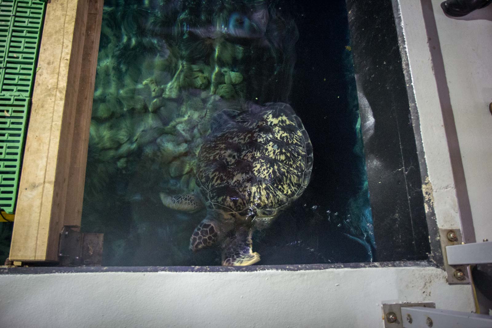 Oceanium, Rotterdam Zoo, The Netherlands