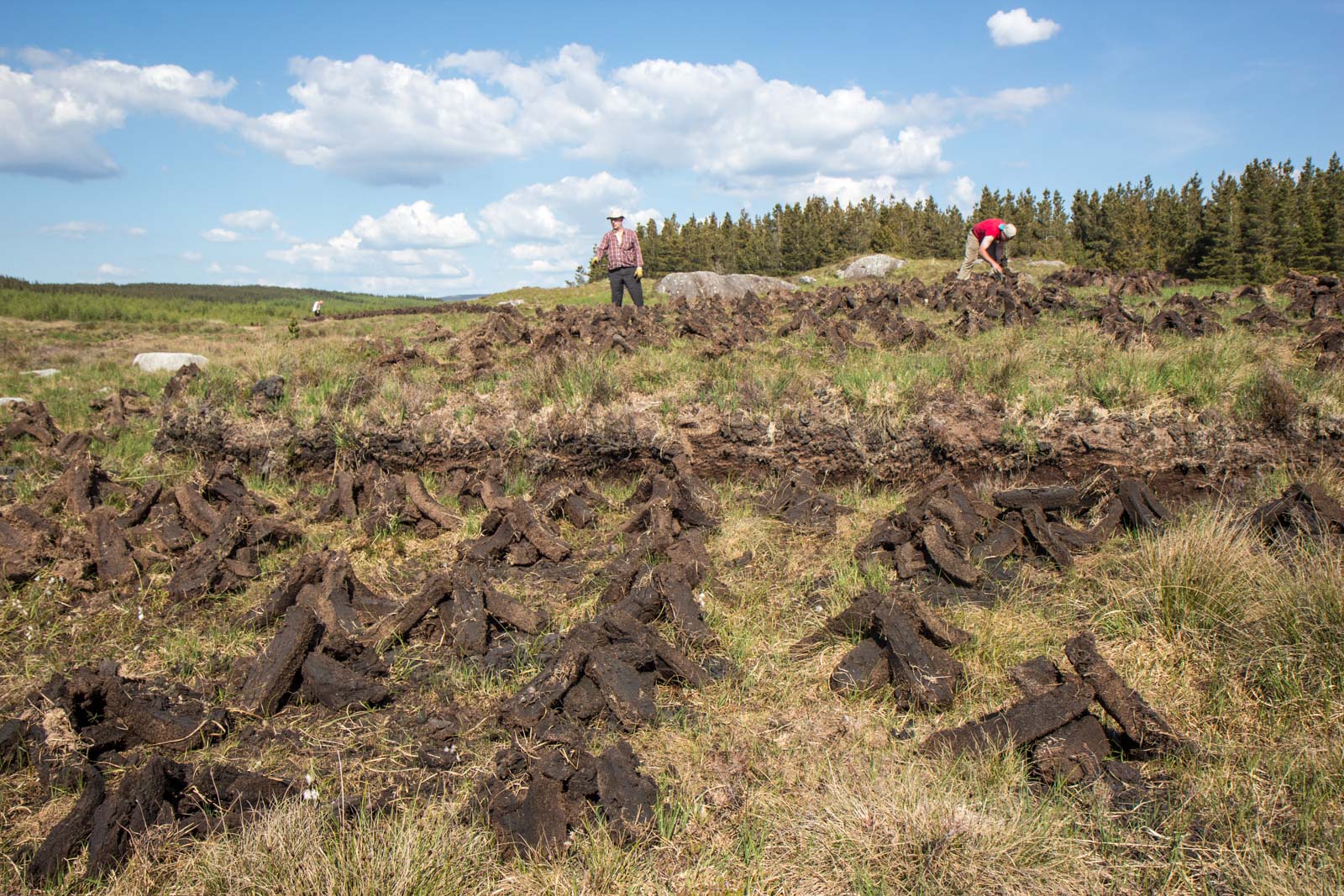 Irish turf farming and peat bogs