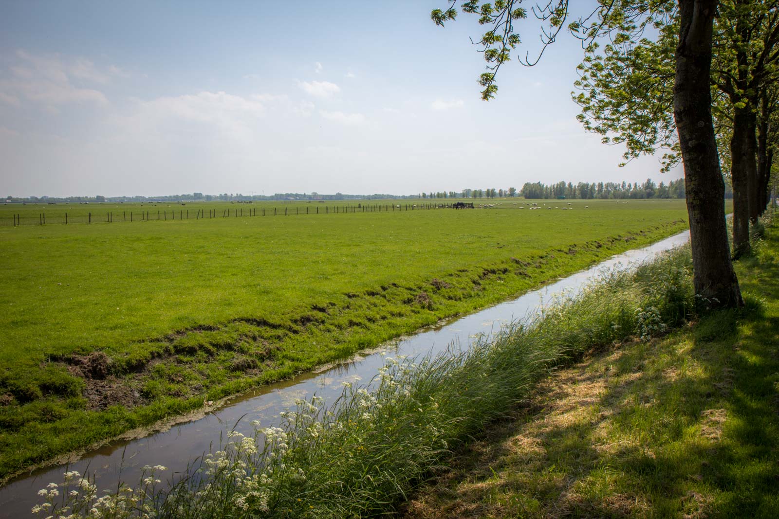 Beemster Polder, Netherlands
