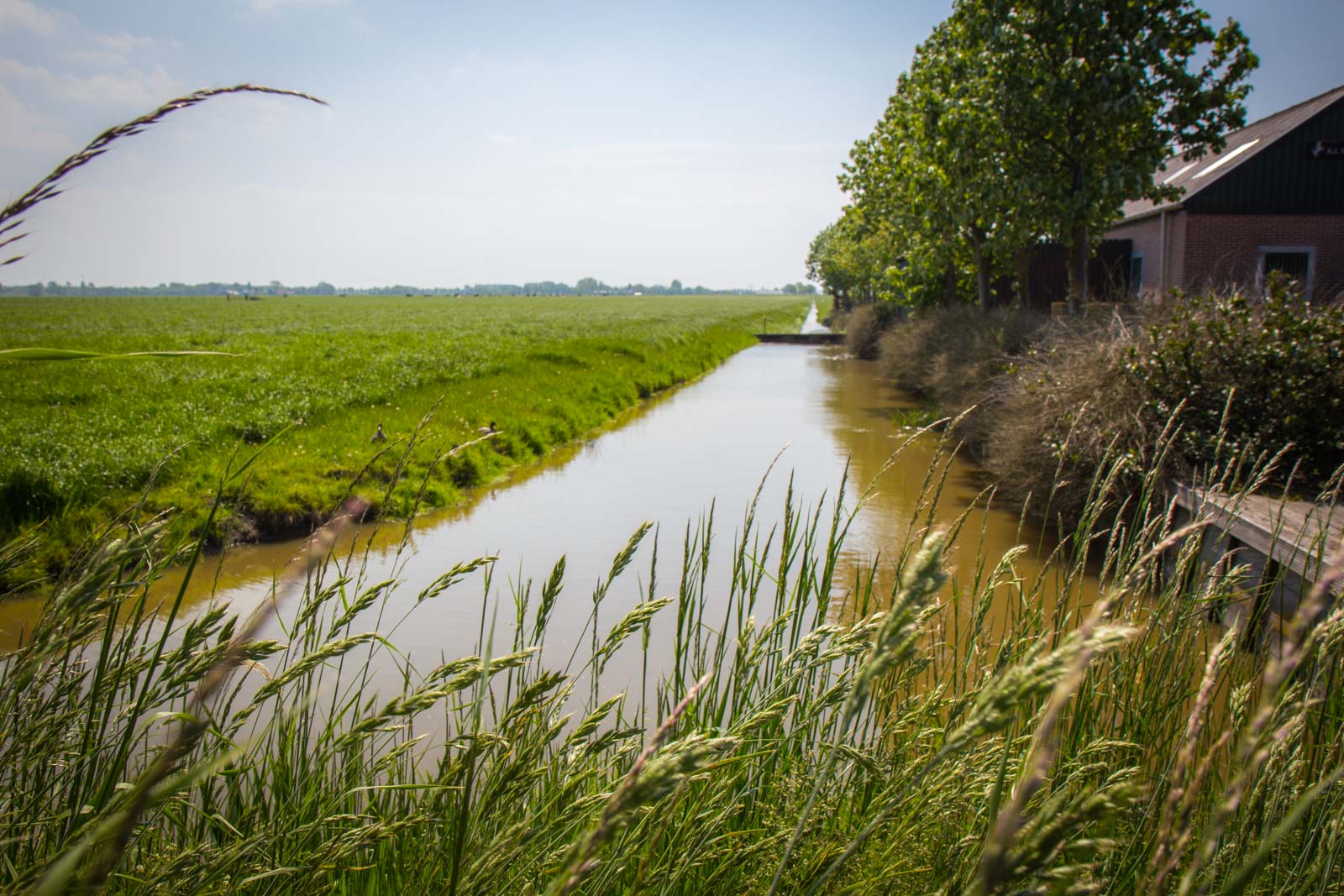 Beemster Polder, Netherlands