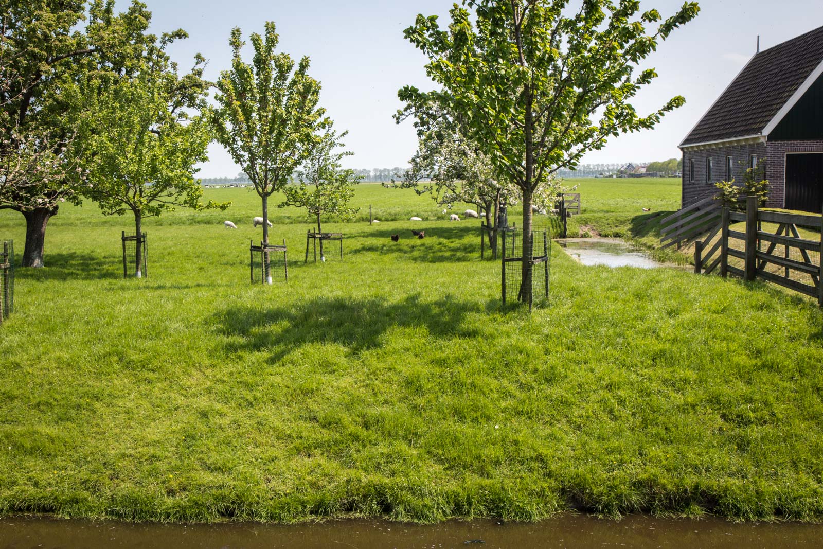 Beemster Polder, Netherlands