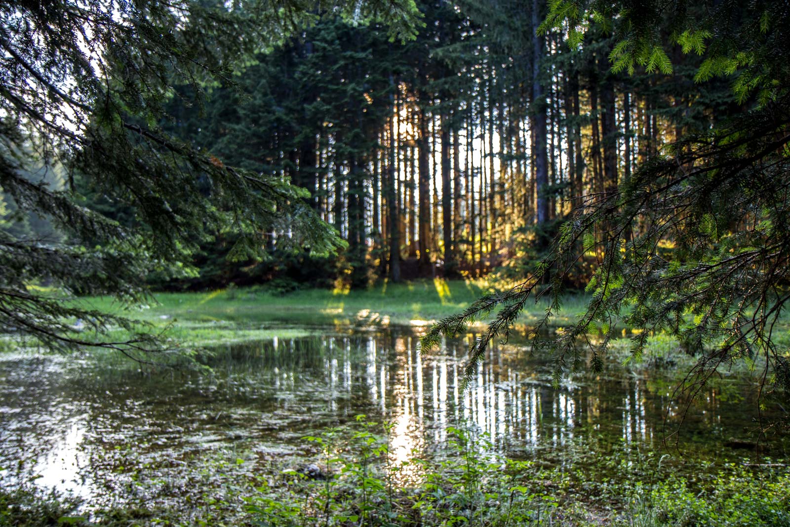 Durmitor National Park, Montenegro