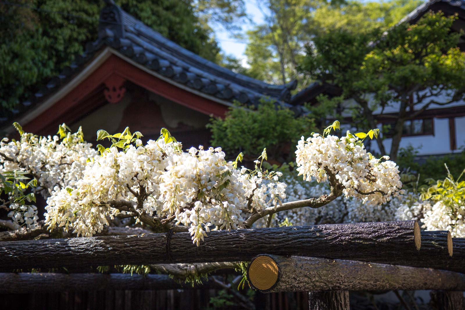 Nara World Heritage temples and shrines, Kyoto, Japan