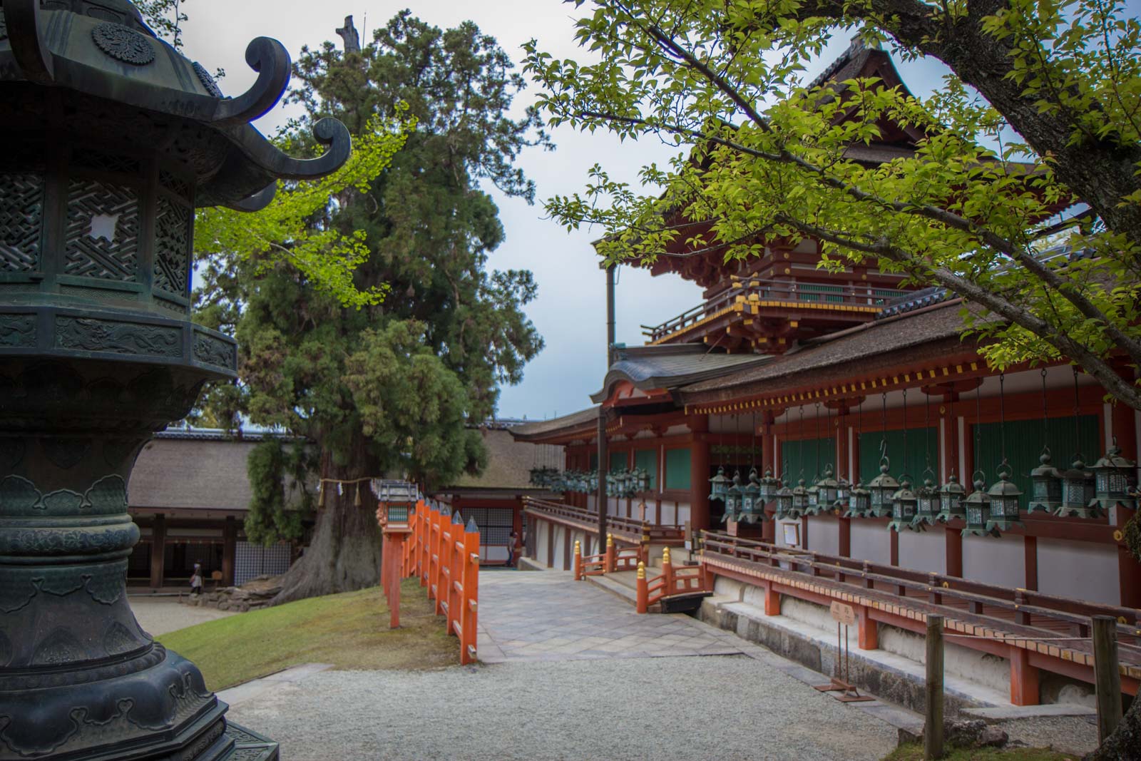 Nara World Heritage temples and shrines, Kyoto, Japan