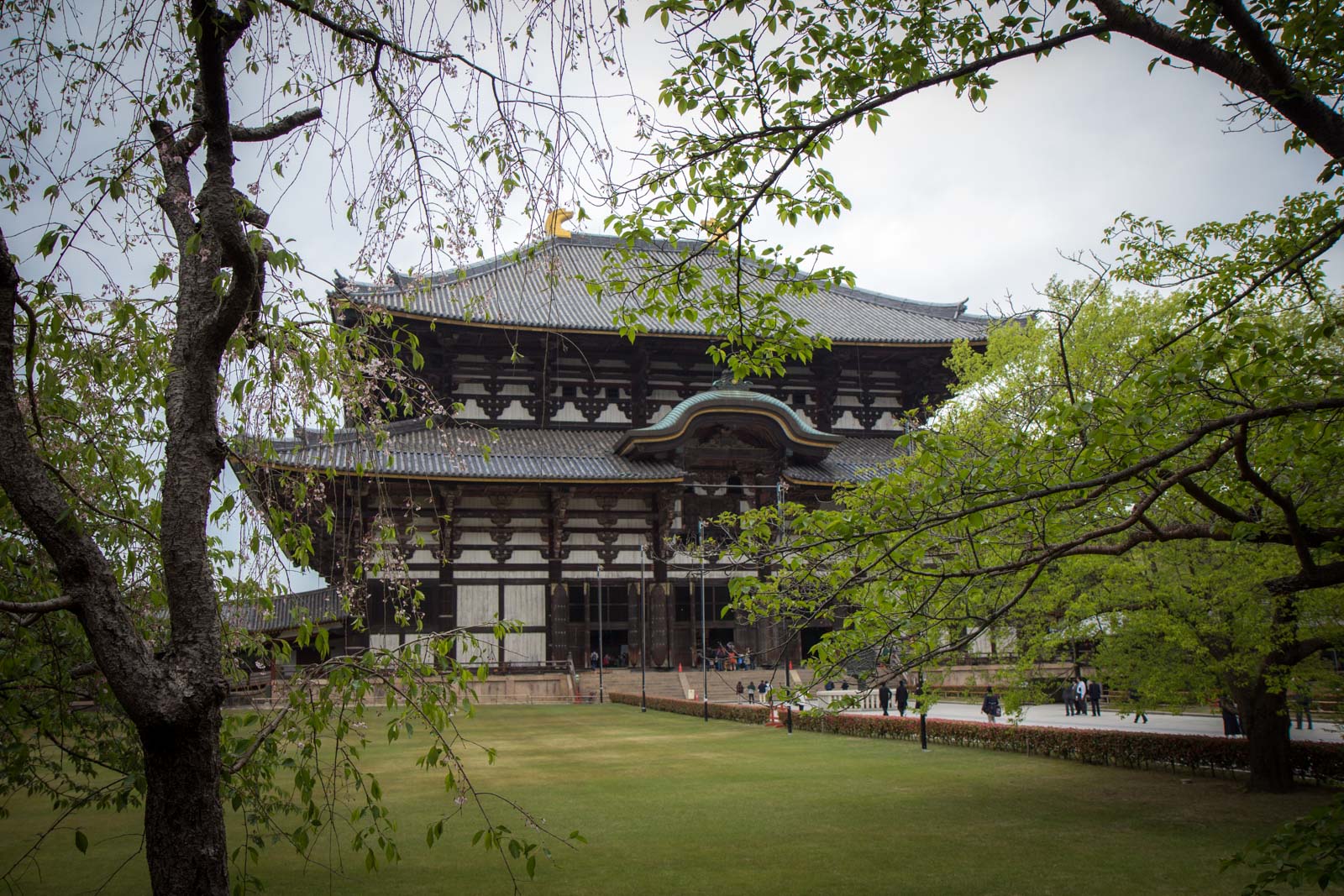 Nara World Heritage temples and shrines, Kyoto, Japan