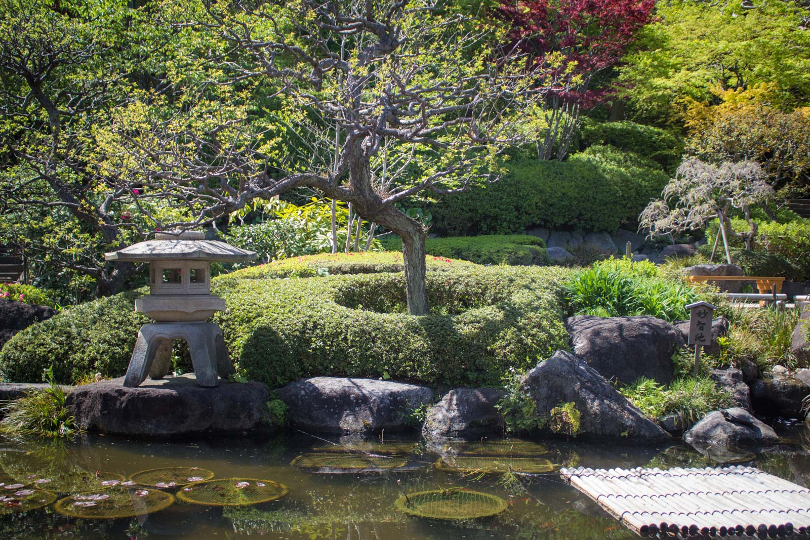 Visit Kamakura, samurai town, Japan