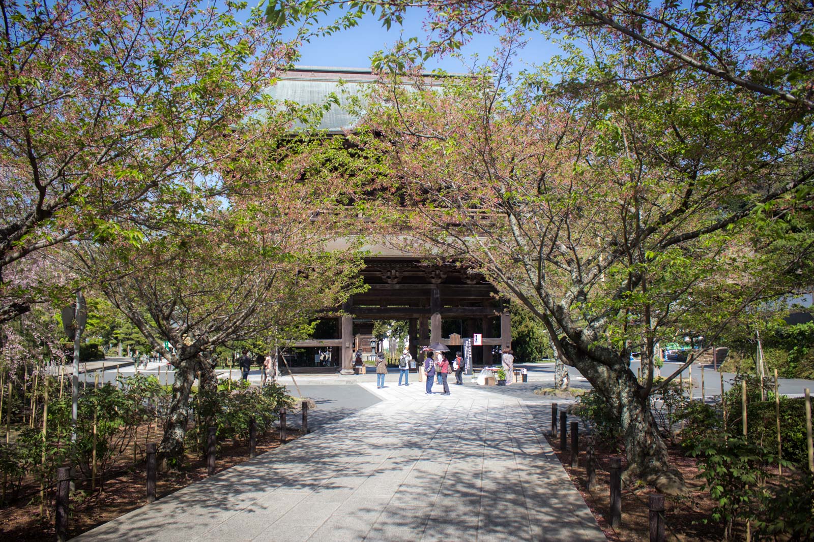 Visit Kamakura, samurai town, Japan