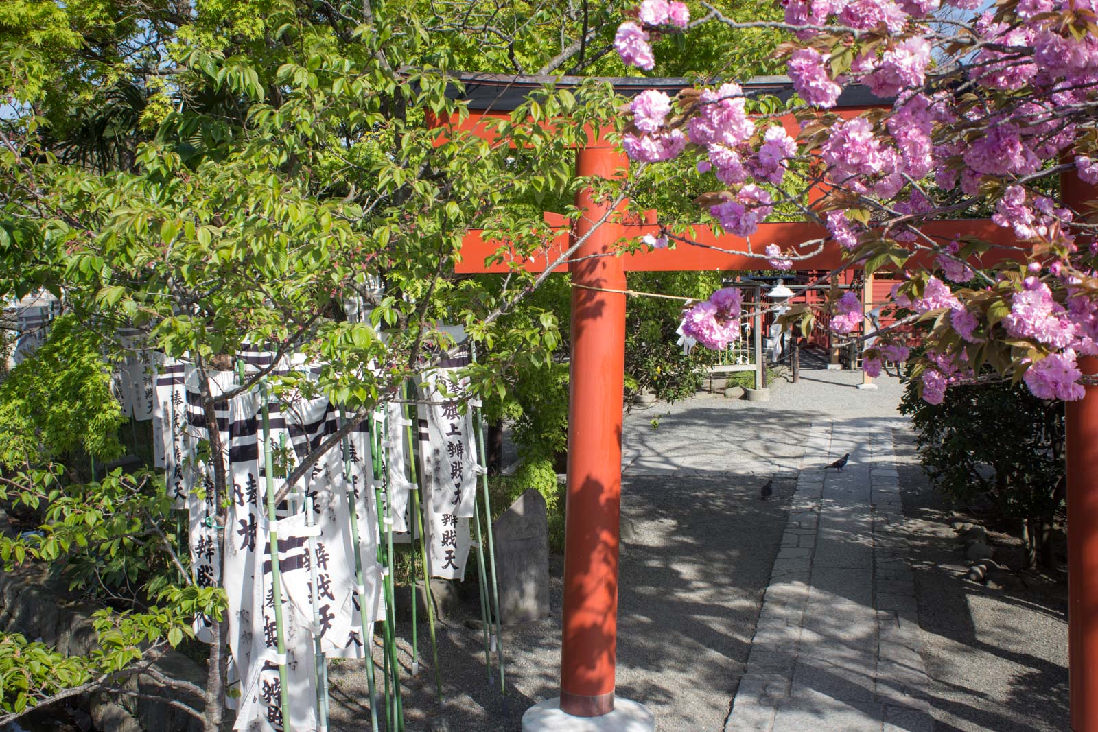 Visit Kamakura, samurai town, Japan