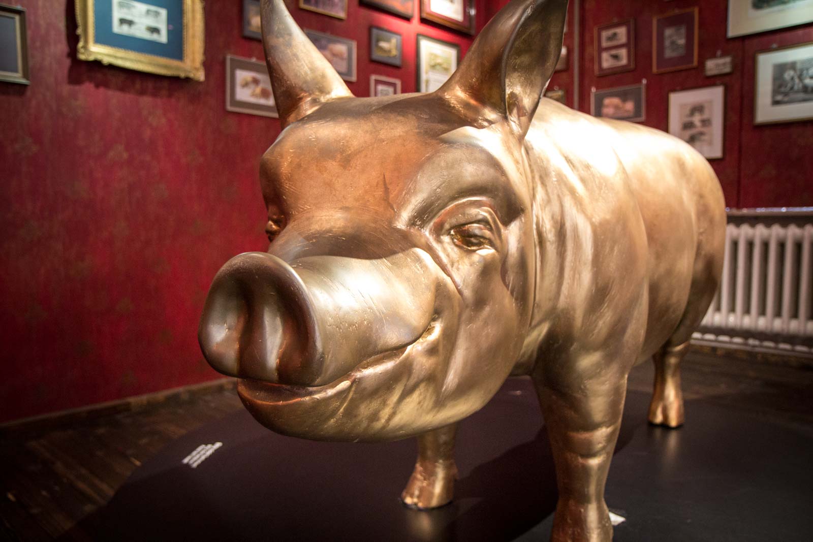 Pig Museum, Stuttgart, Schweine Museum