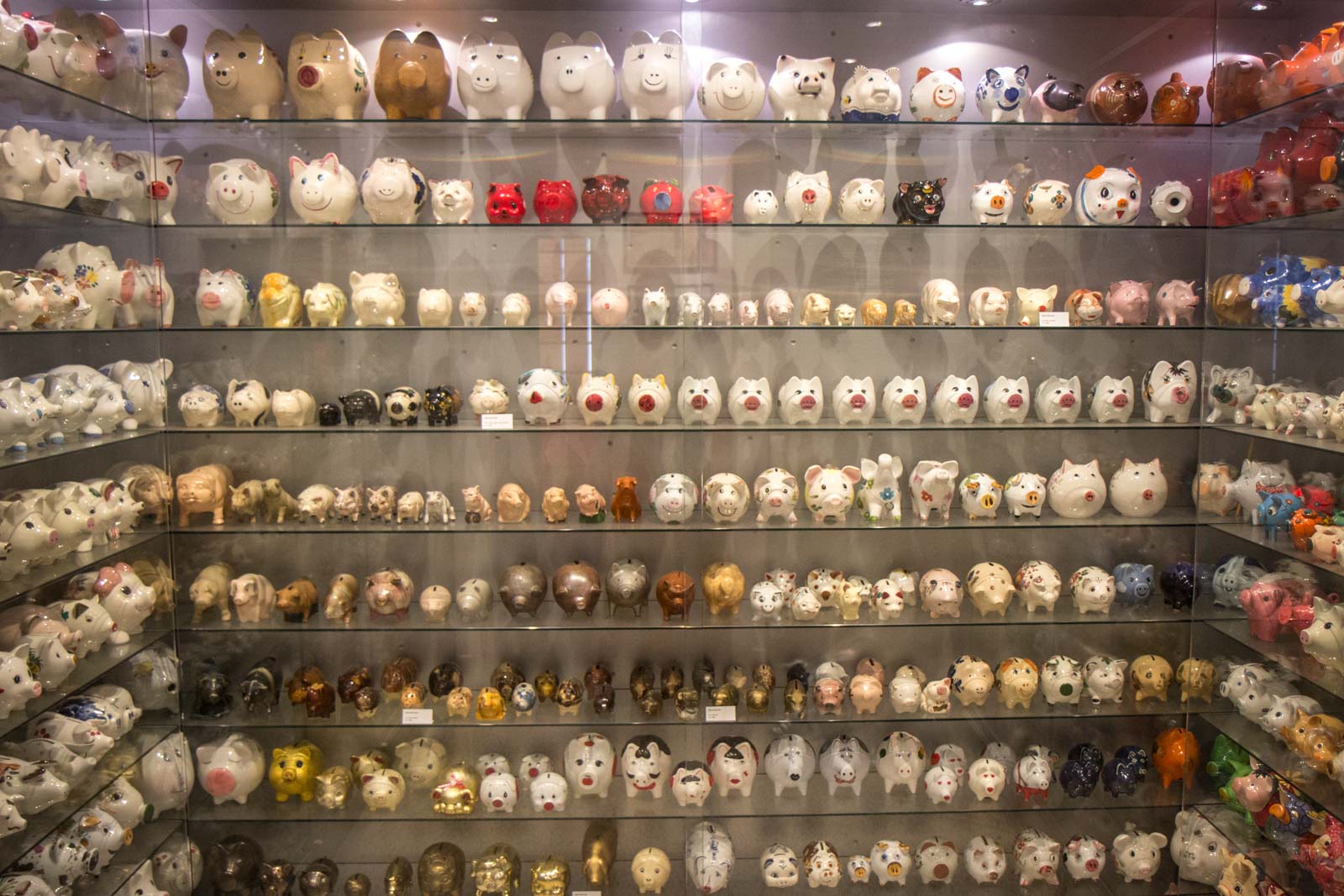 Pig Museum, Stuttgart, Schweine Museum