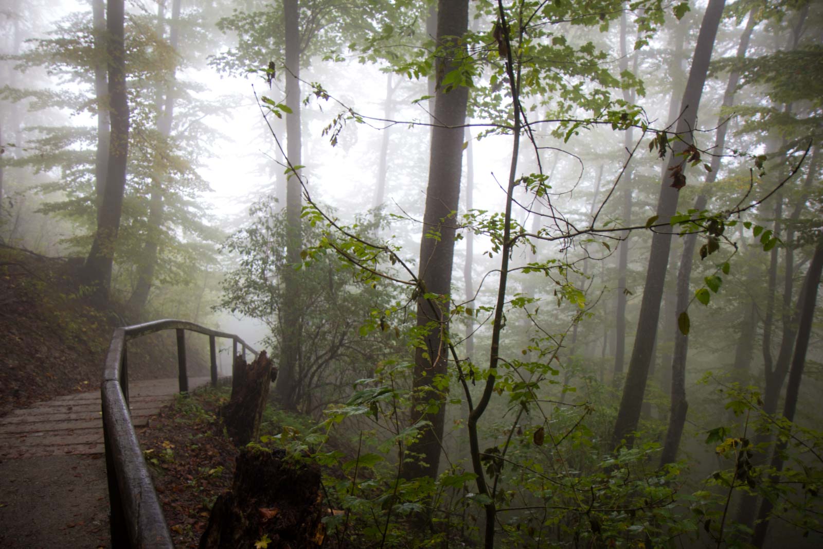 Hohenzollern Castle, Baden-Wurttemberg, Germany
