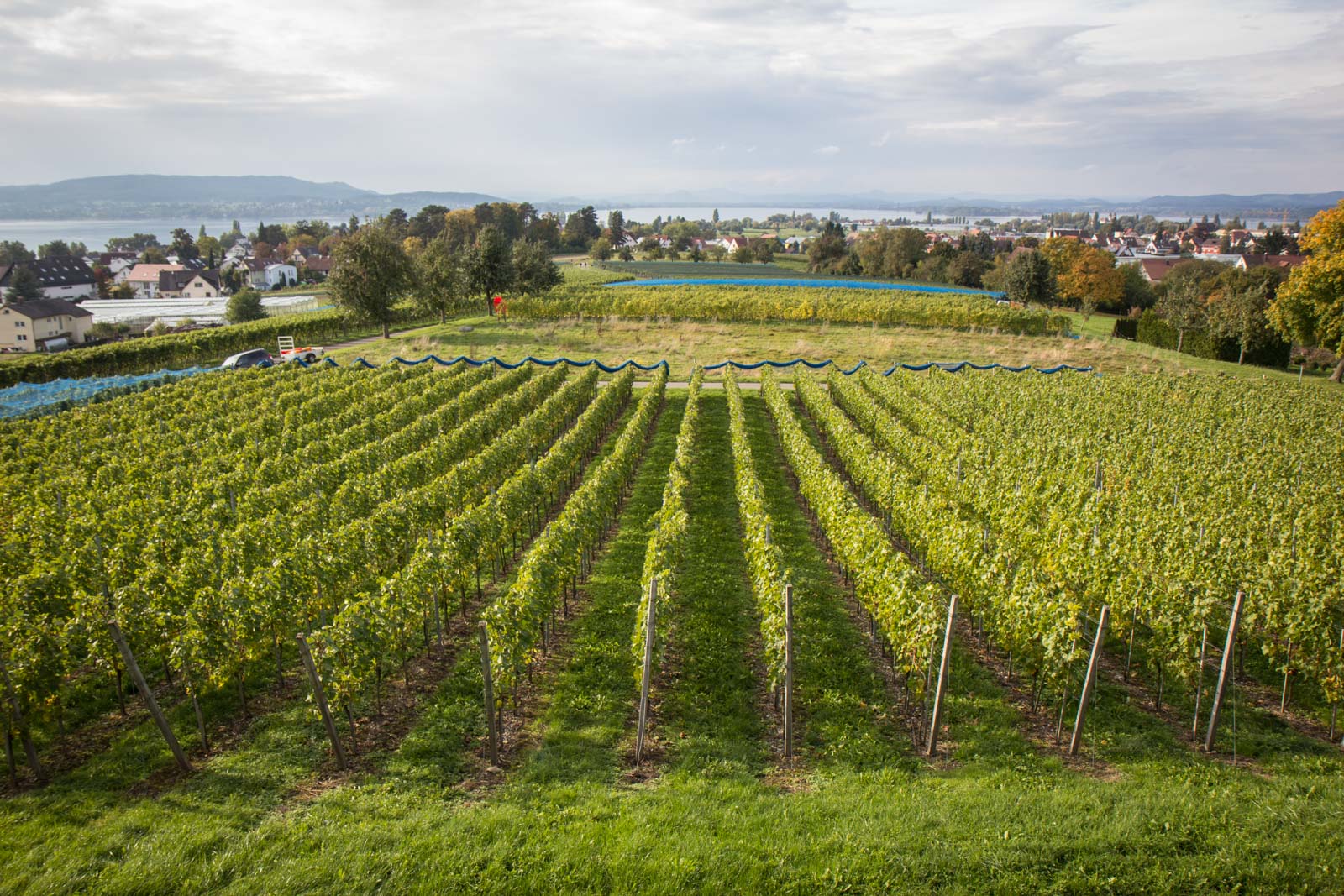 Riechenau Island, Germany