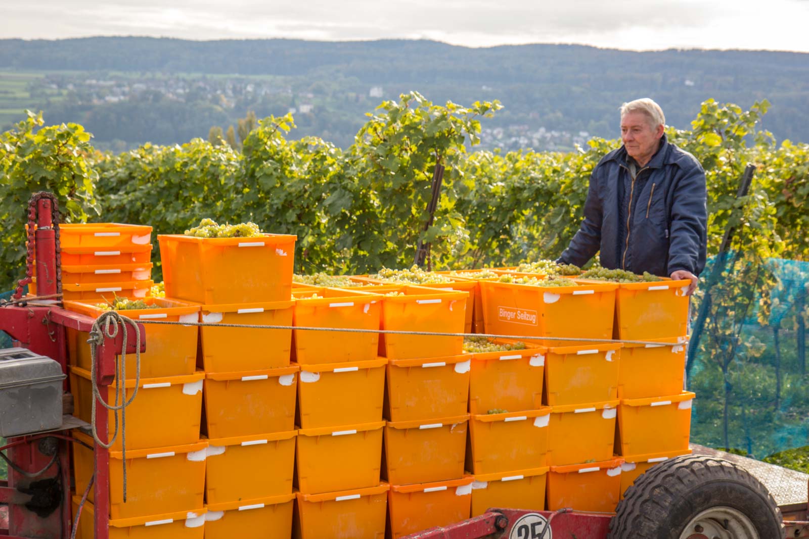 Riechenau Island, Germany